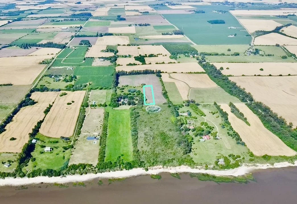 Chacra en San Pedro, propiedad 163133 -Imagen 4