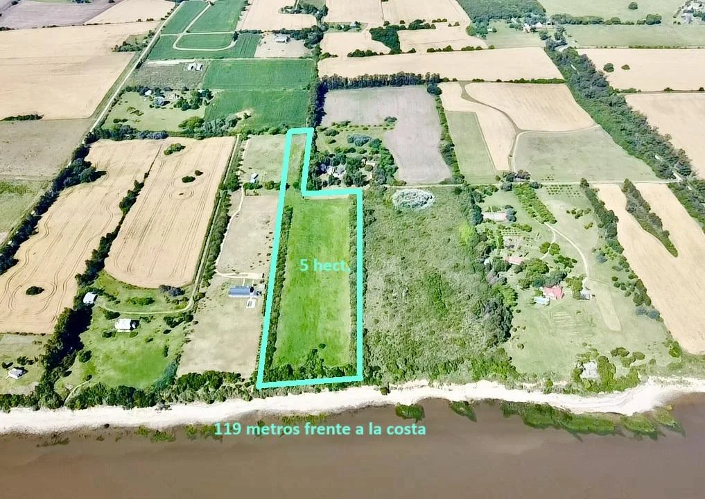 Chacra en San Pedro, propiedad 146202 -Imagen 8