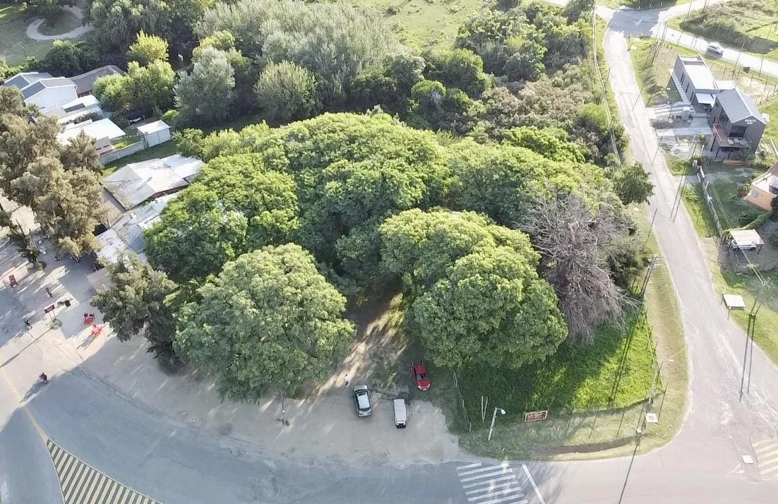 Terreno en Colonia del Sacramento, propiedad 192877 -Imagen 5