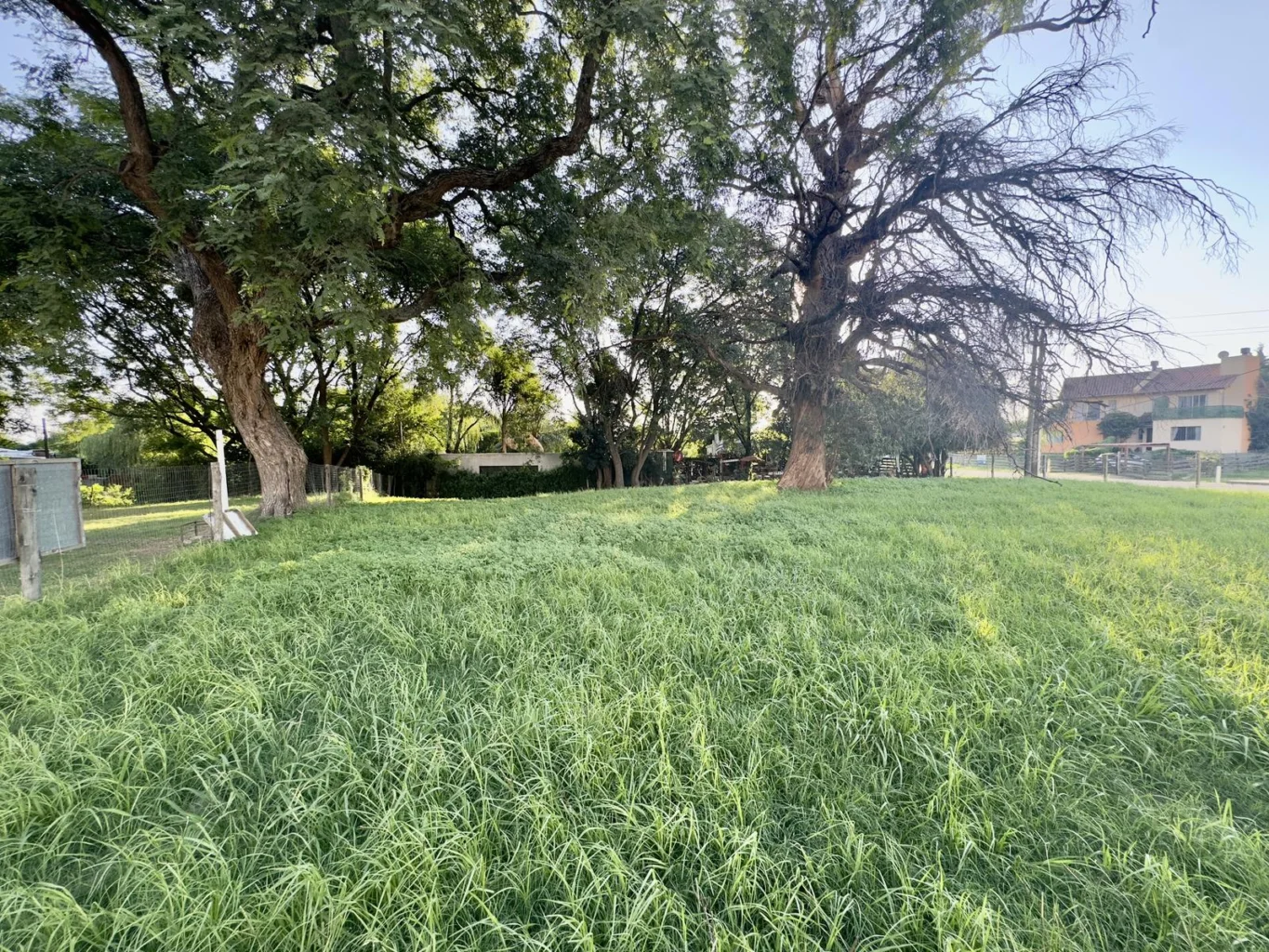 Terreno en Colonia del Sacramento, propiedad 192877 -Imagen 8