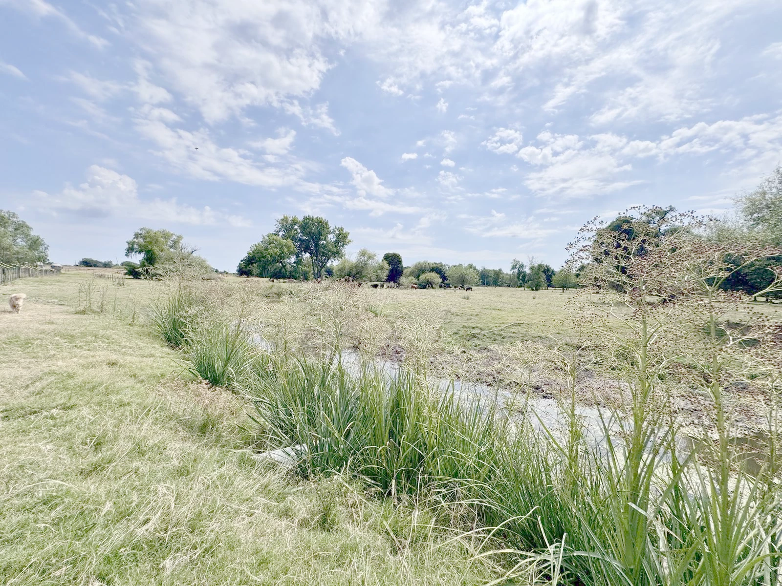 Chacra en Colonia del Sacramento, propiedad 249698 -Imagen 4