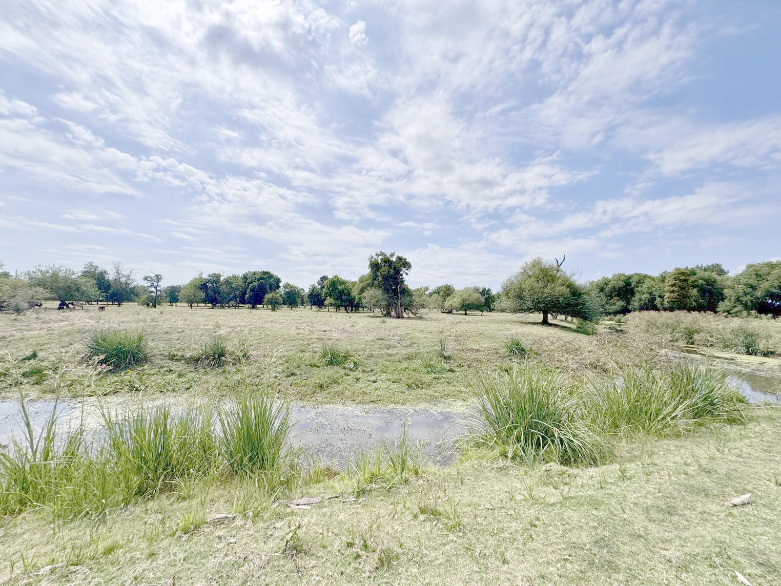 Chacra en Colonia del Sacramento, propiedad 249698 -Imagen 5