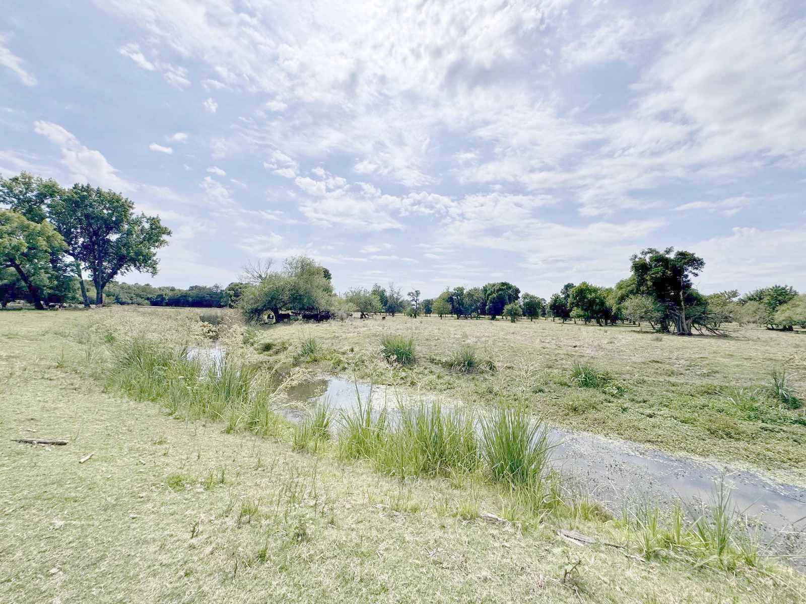Chacra en Colonia del Sacramento, propiedad 249698 -Imagen 6
