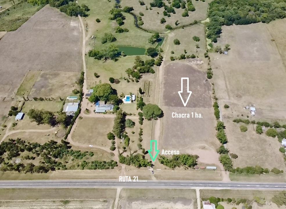 Chacra en Colonia del Sacramento, propiedad 249743 -Imagen 3