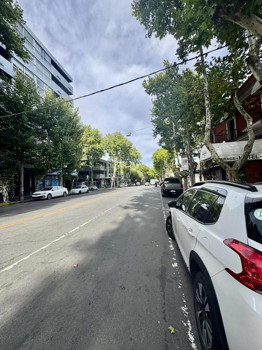 Local en Colonia del Sacramento, propiedad 249754 -Imagen 4
