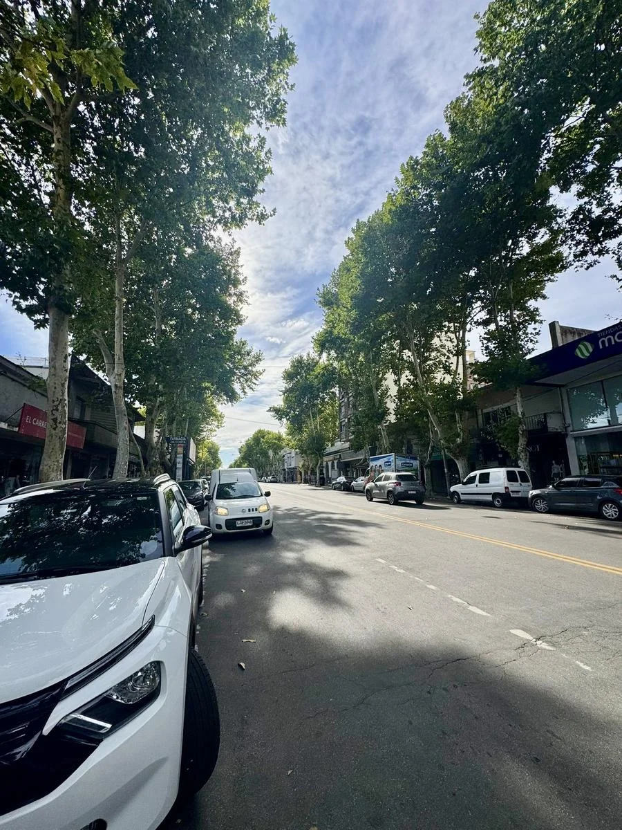 Local en Colonia del Sacramento, propiedad 249754 -Imagen 5