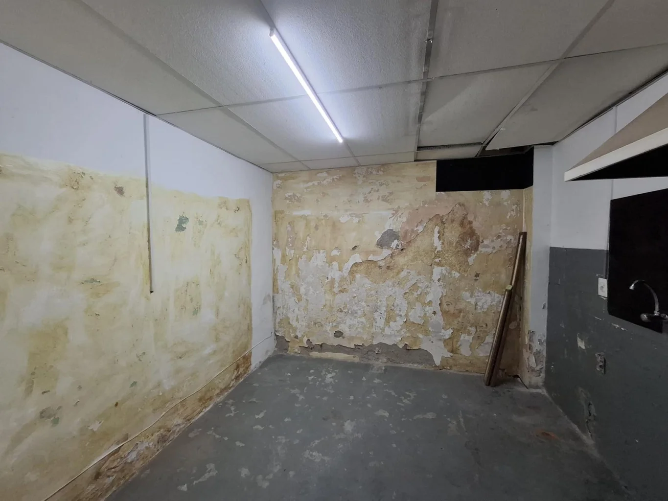 Local en Colonia del Sacramento, propiedad 256063 -Imagen 14