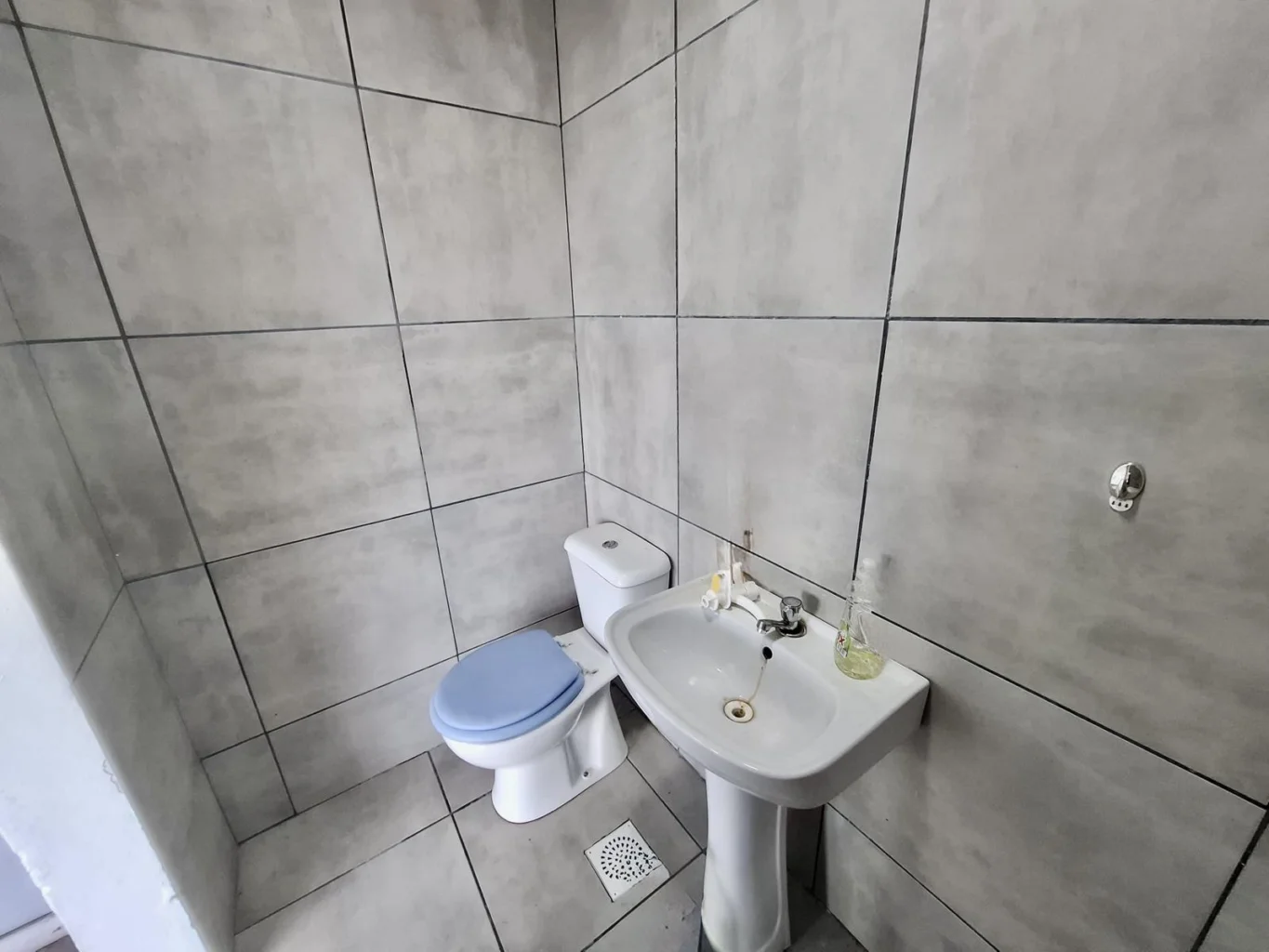 Local en Colonia del Sacramento, propiedad 263076 -Imagen 5