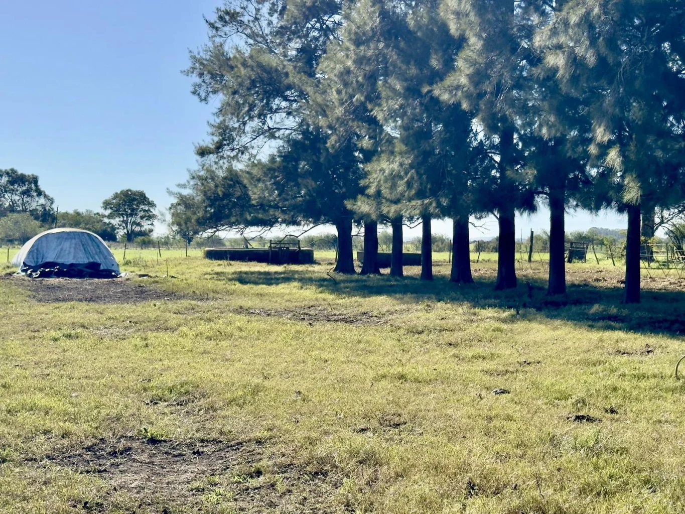 Chacra en Estanzuela, propiedad 268480 -Imagen 24