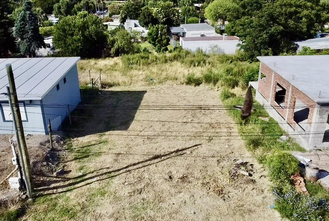 Terreno en Real de San Carlos, propiedad 272878 -Imagen 6