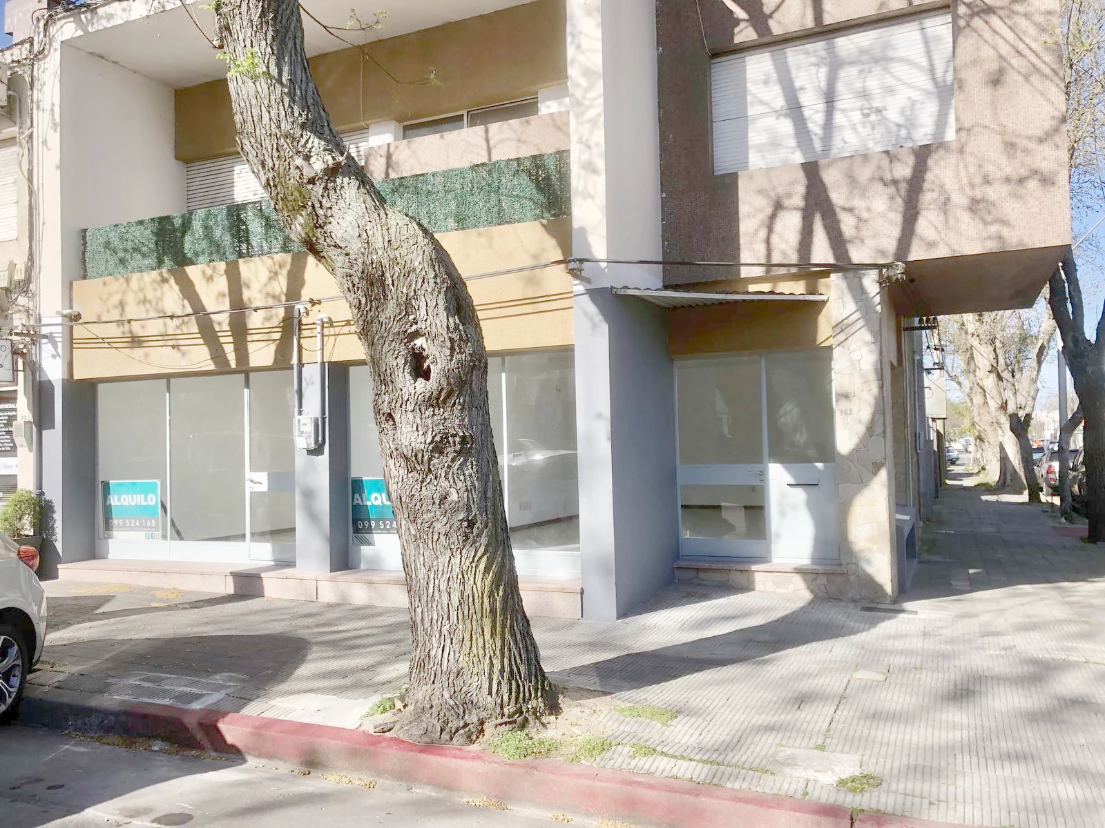 Local en Colonia del Sacramento, propiedad 273983 -Imagen 17