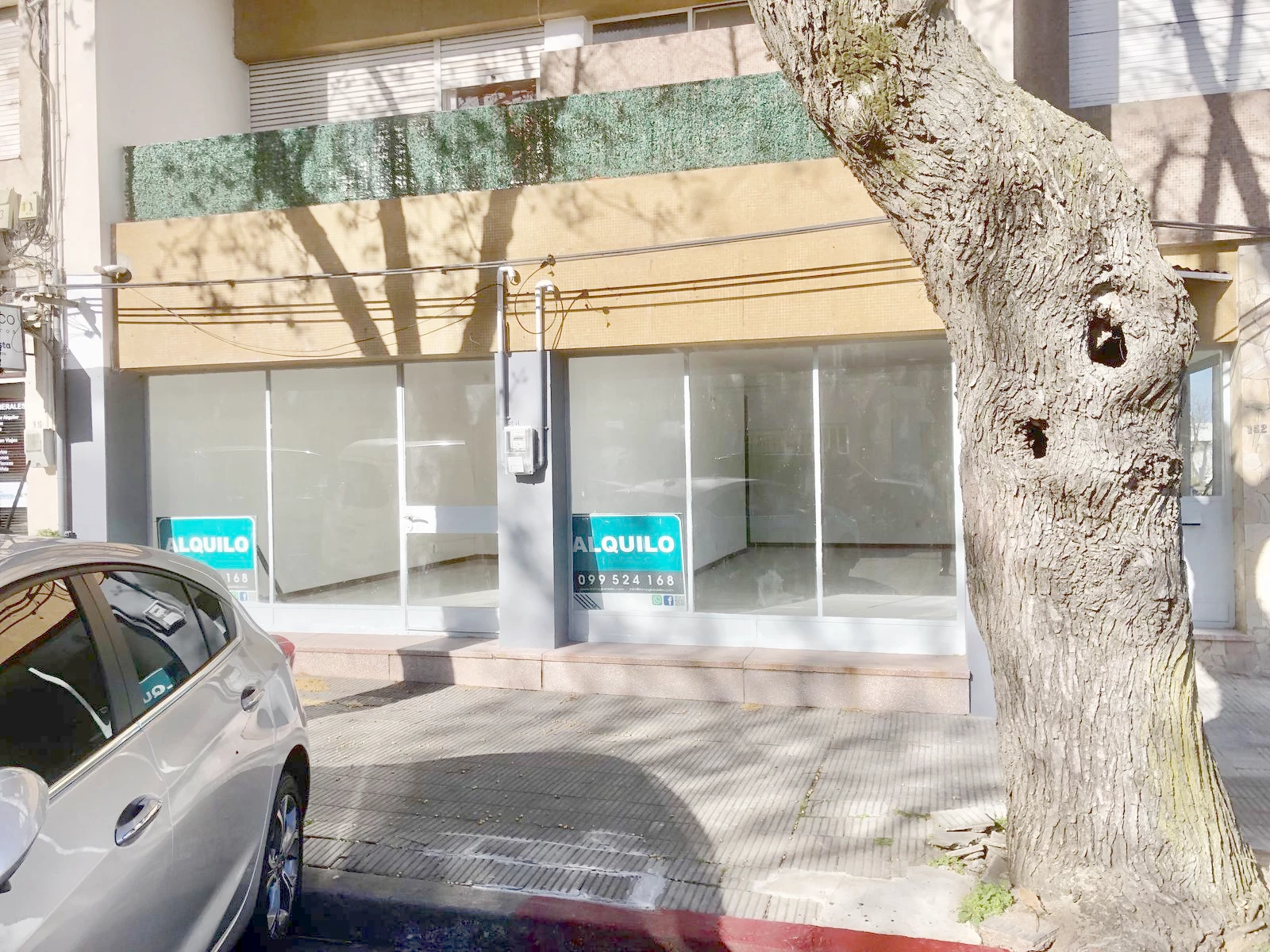 Local en Colonia del Sacramento, propiedad 273983 -Imagen 16