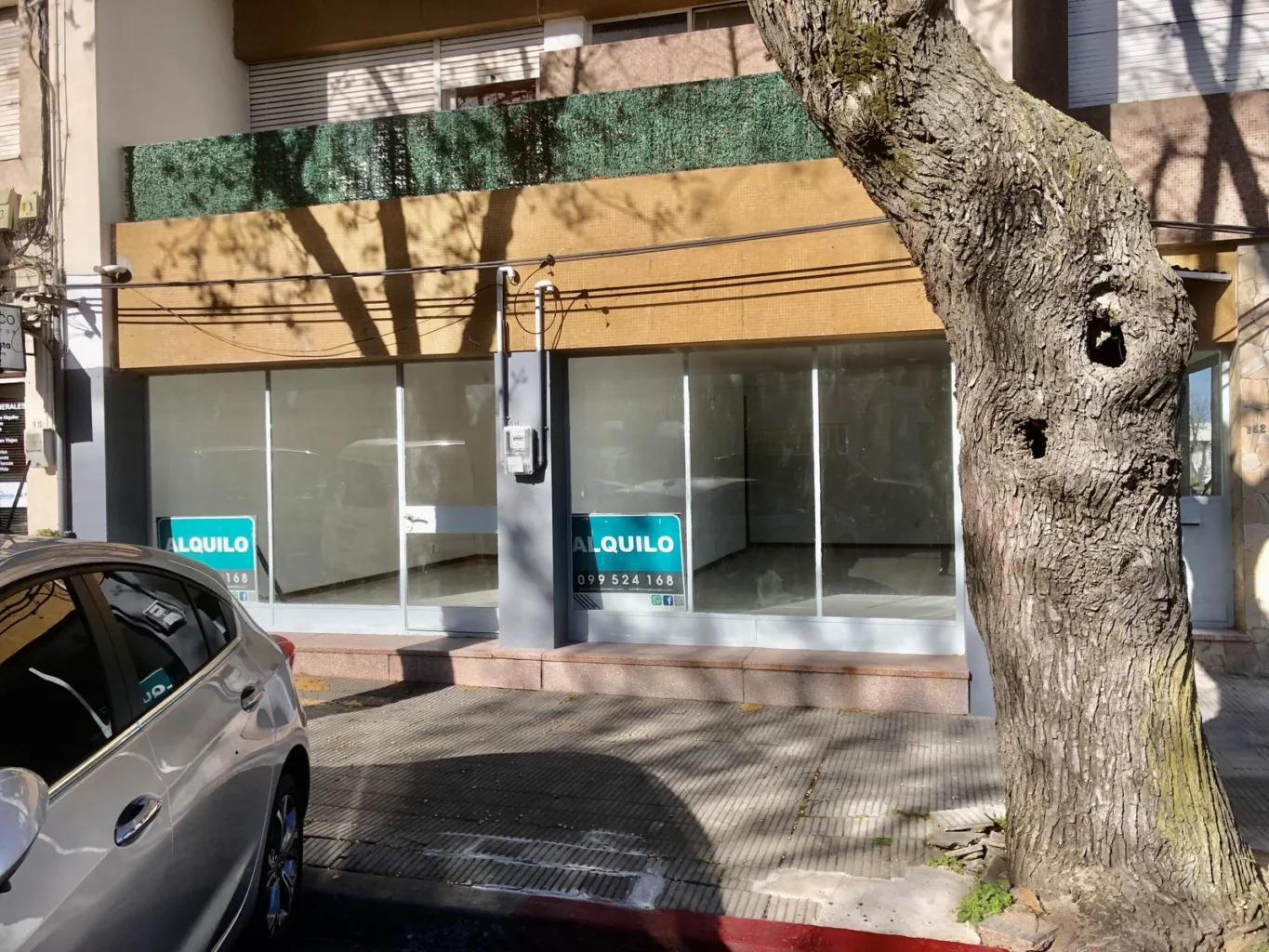 Local en Colonia del Sacramento, propiedad 273983 -Imagen 16