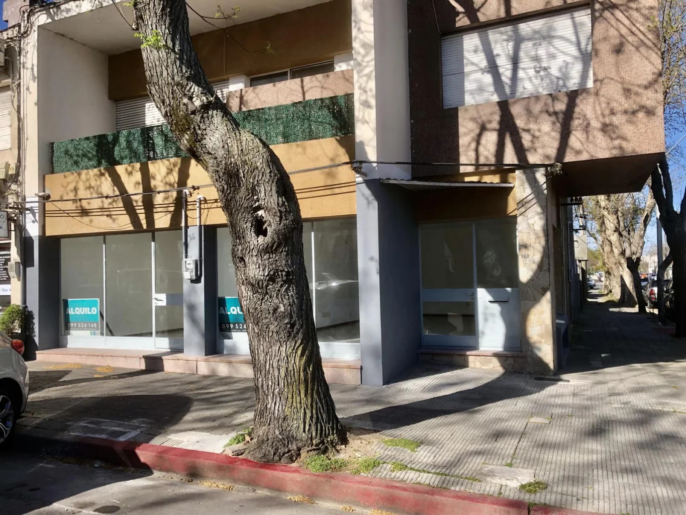 Local en Colonia del Sacramento, propiedad 273983 -Imagen 17