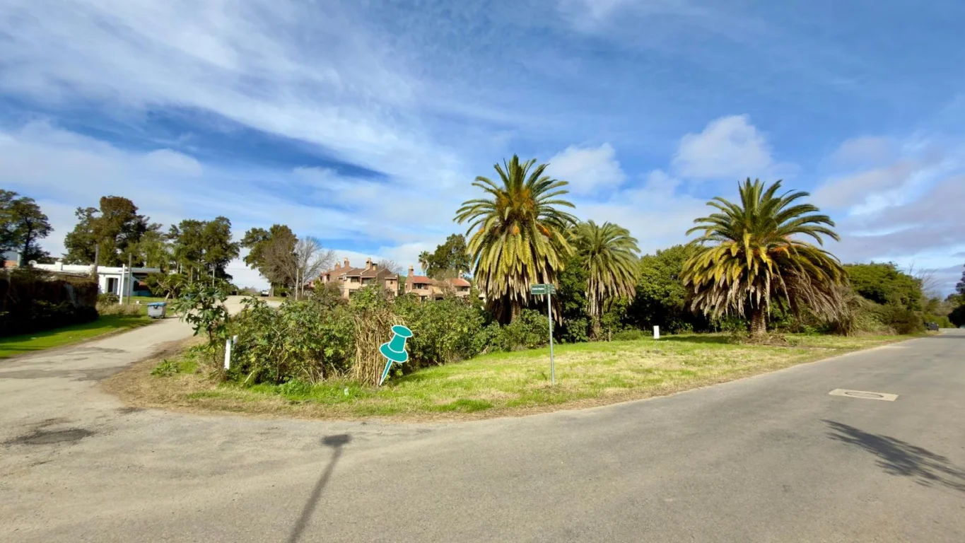 Terreno en Real de San Carlos, propiedad 286362 -Imagen 5