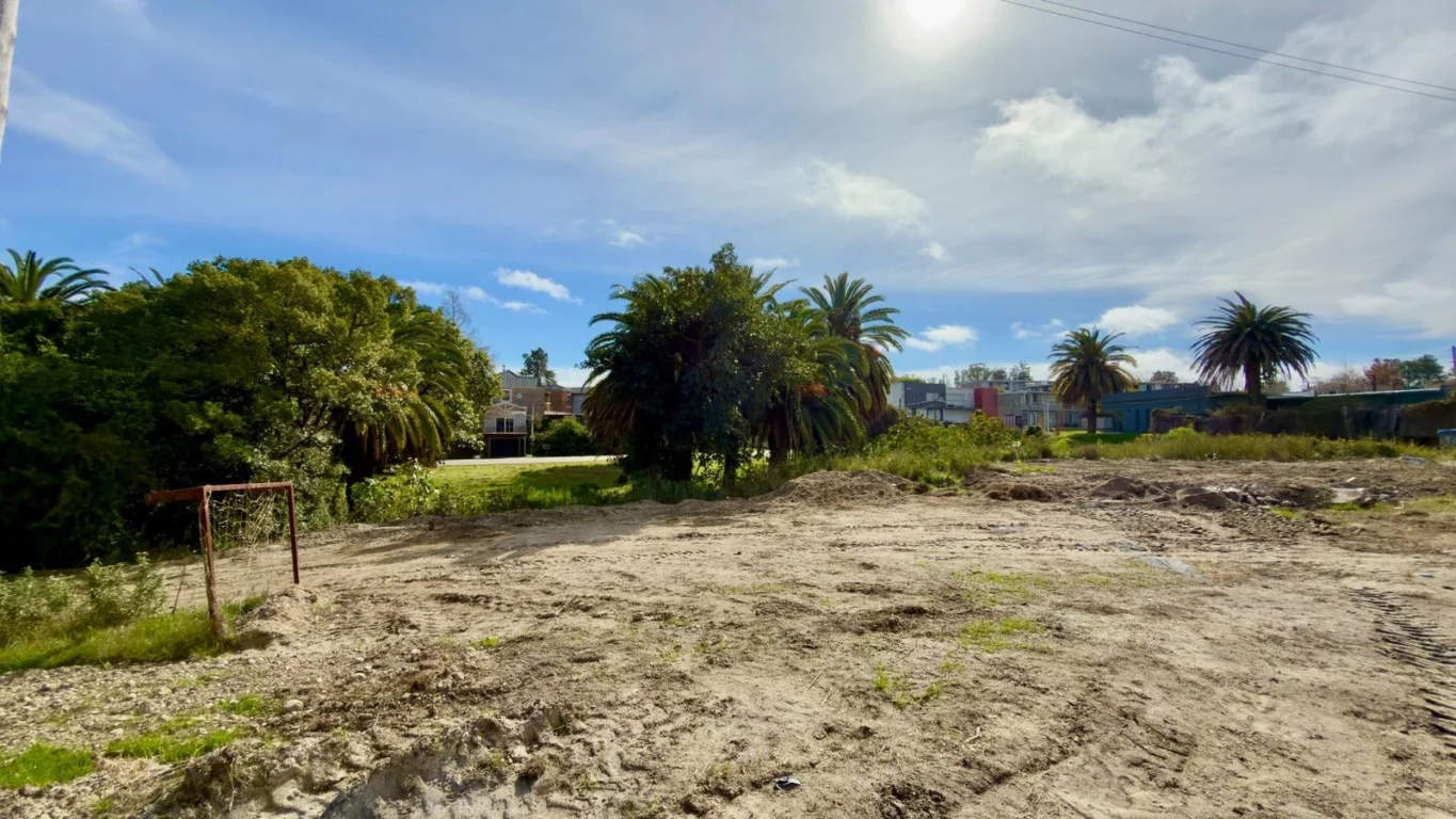 Terreno en Real de San Carlos, propiedad 286362 -Imagen 7