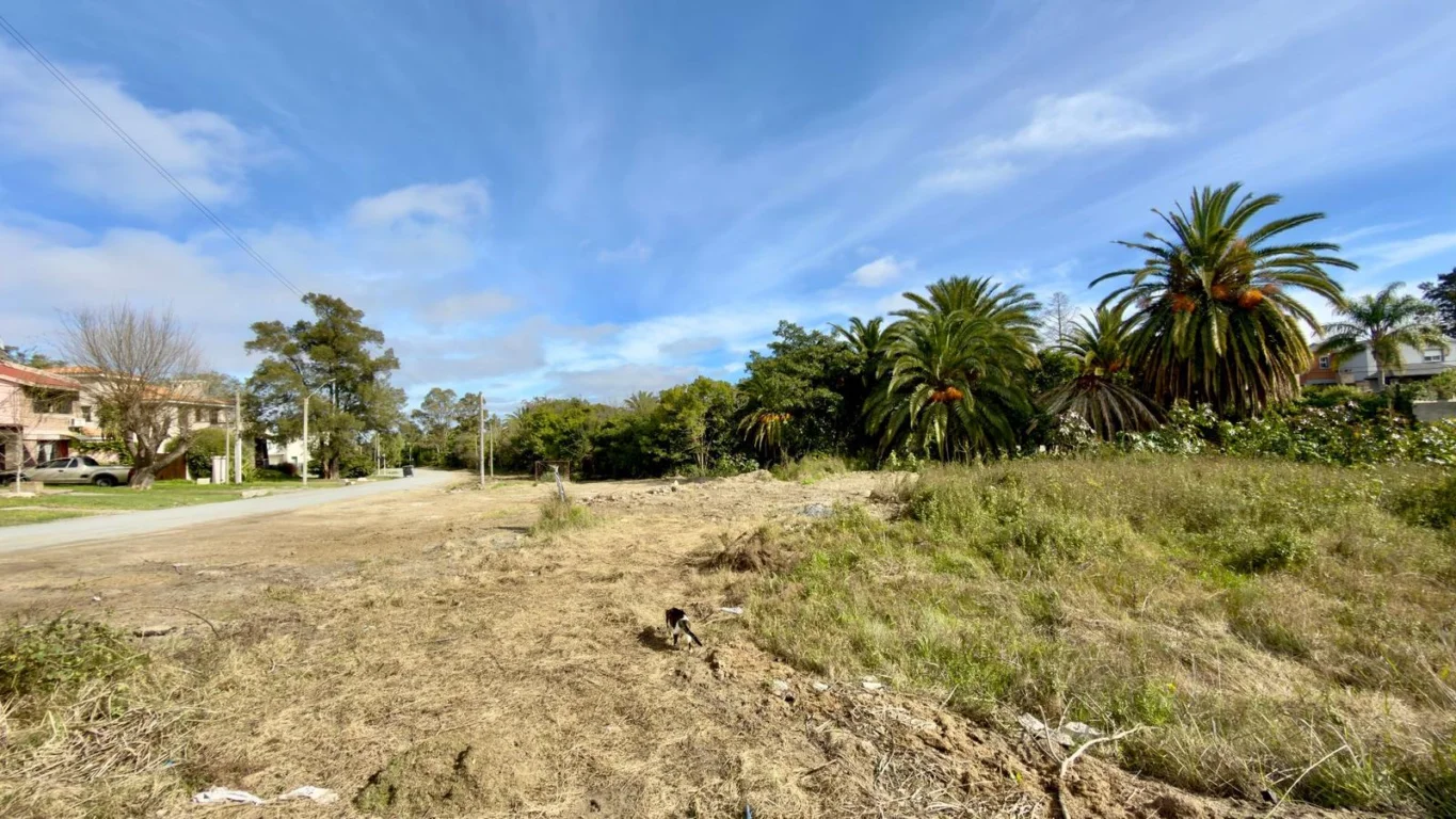 Terreno en Real de San Carlos, propiedad 286362 -Imagen 8