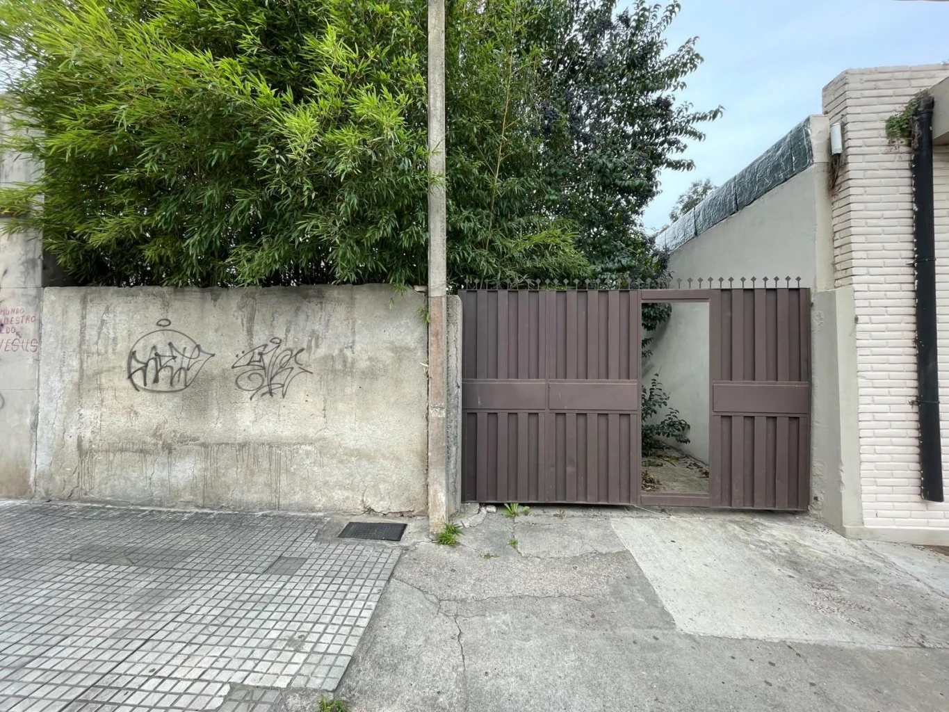 Local en Centro - Carmelo, propiedad 287410 -Imagen 4