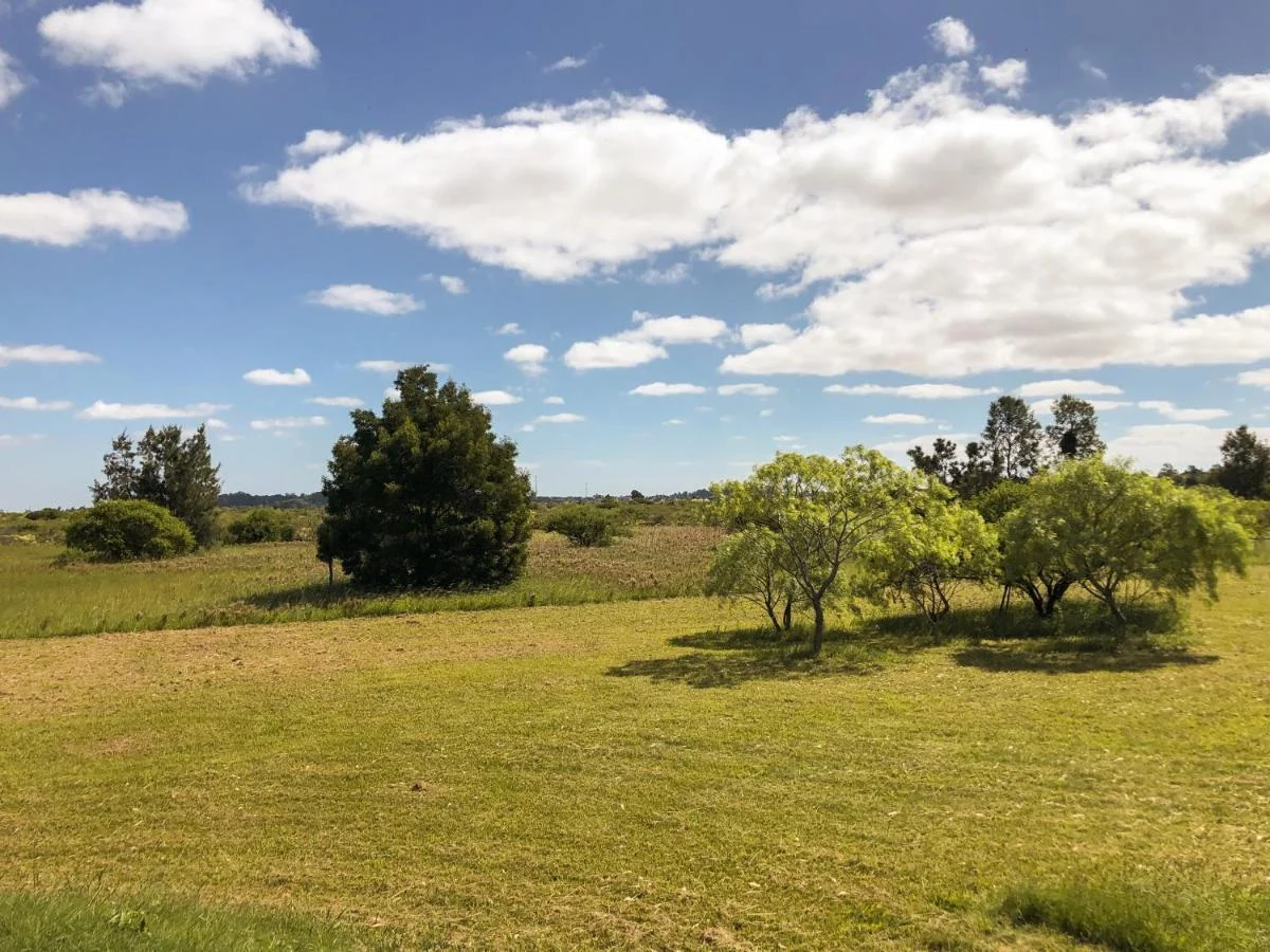 Casa en Laguna de los Patos, propiedad 287830 -Imagen 10