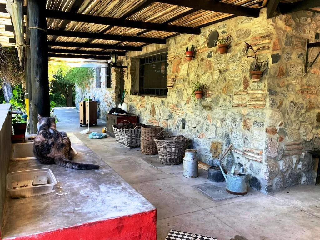 Casa en Laguna de los Patos, propiedad 287831 -Imagen 9