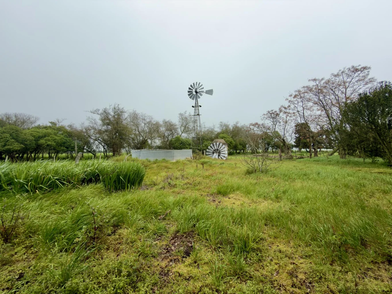 Campo en Miguelete , propiedad 292448 -Imagen 12