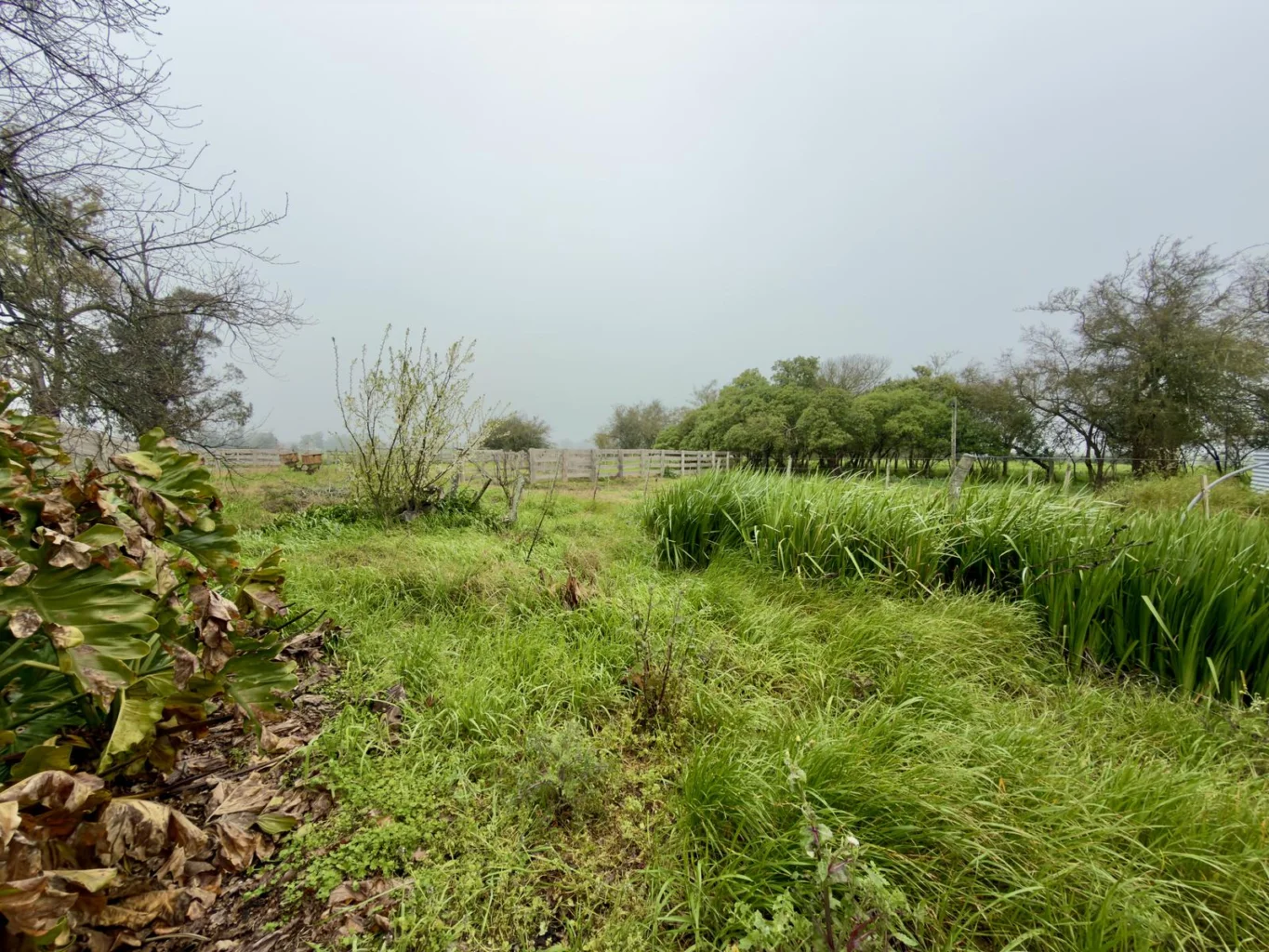 Campo en Miguelete , propiedad 292448 -Imagen 13