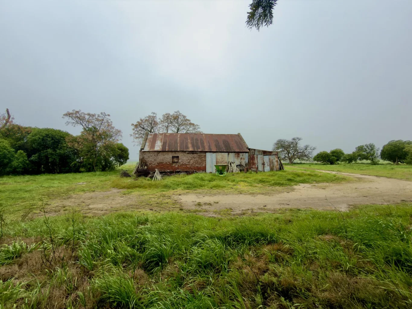 Campo en Miguelete , propiedad 292448 -Imagen 8