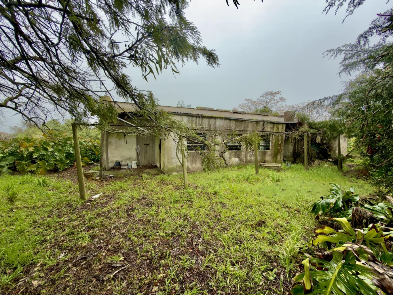 Campo en Miguelete , propiedad 292448 -Imagen 10