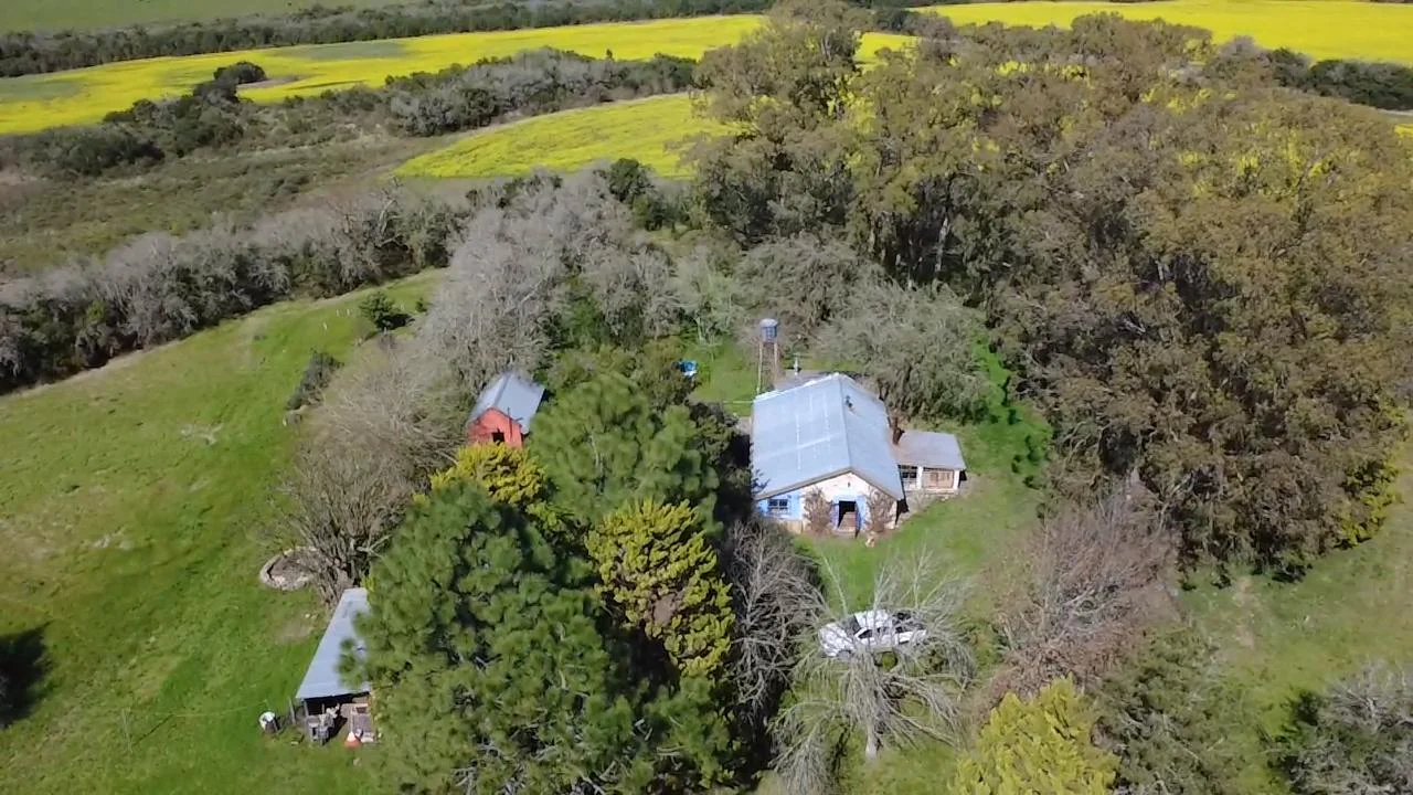 Campo en Paso Antolin, propiedad 292760 -Imagen 3
