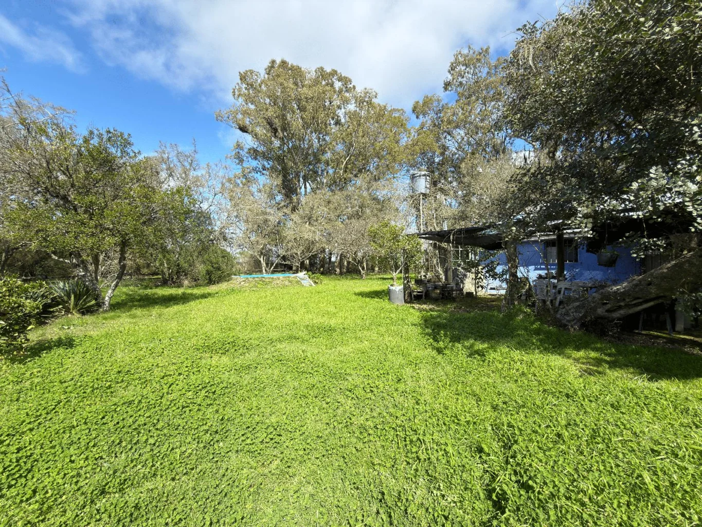 Campo en Paso Antolin, propiedad 292760 -Imagen 22
