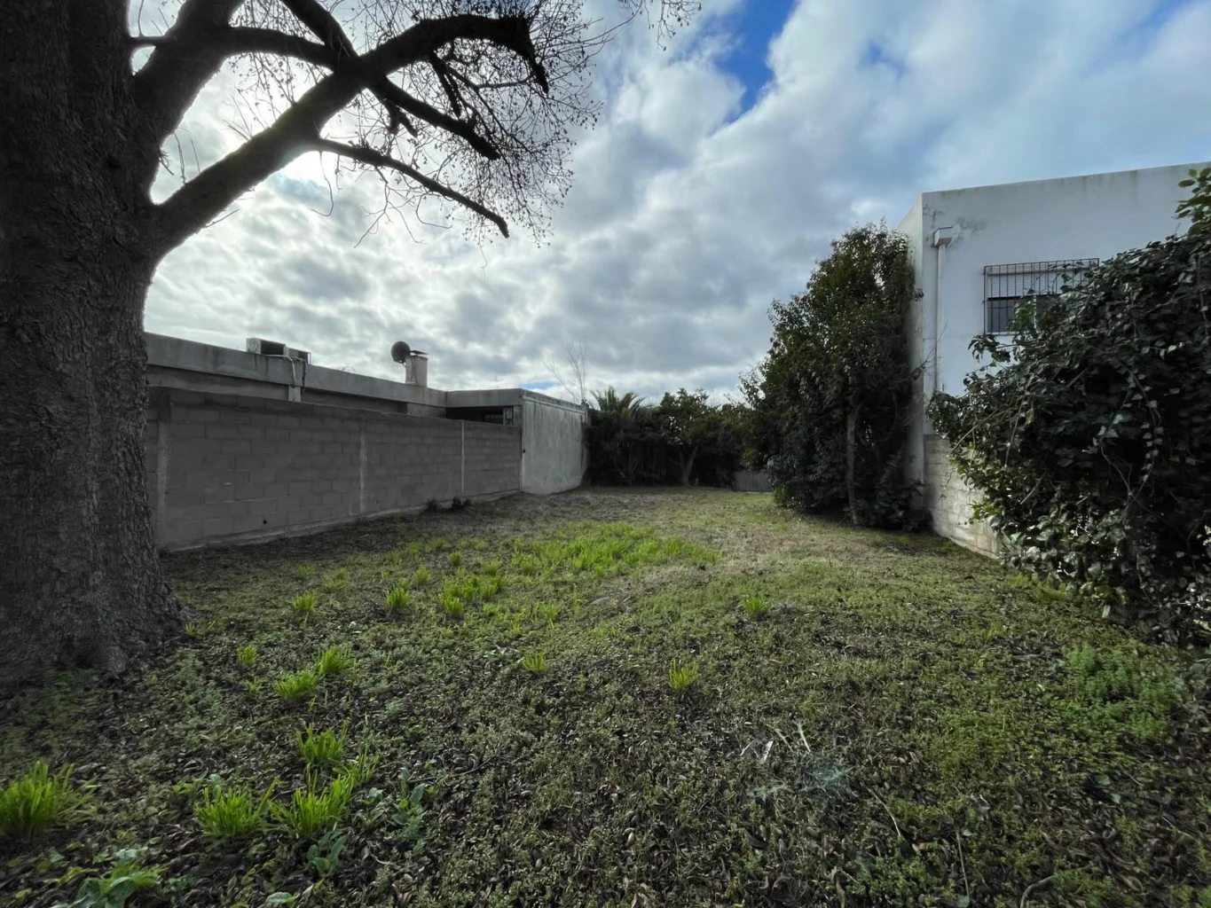 Terreno en Centro - Carmelo, propiedad 293299 -Imagen 7