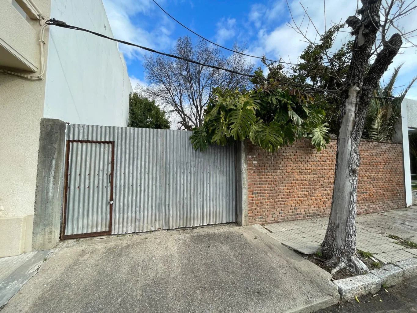 Terreno en Centro - Carmelo, propiedad 293299 -Imagen 9