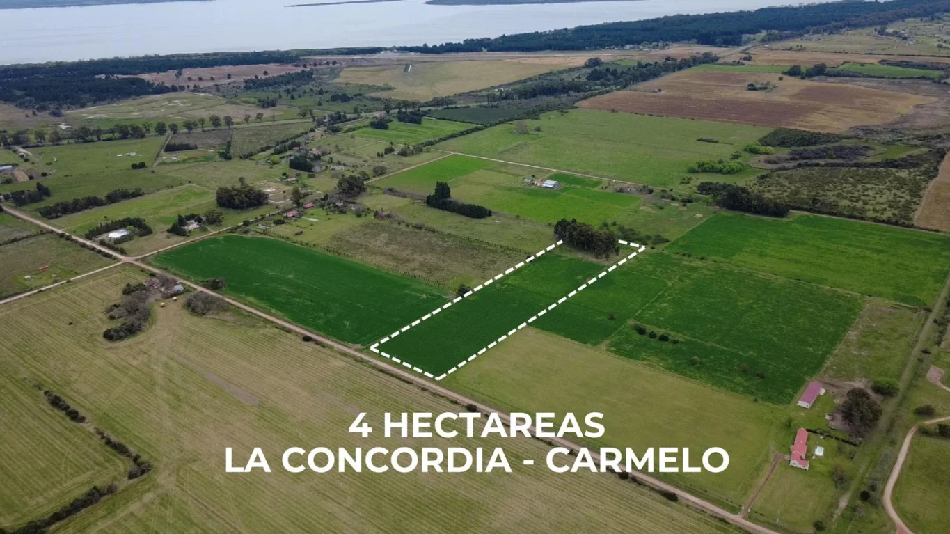 Chacra en Colonia Estrella, propiedad 294245 -Imagen 1