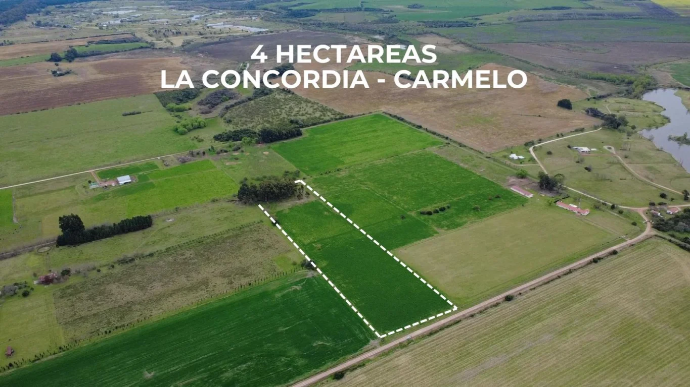 Chacra en Colonia Estrella, propiedad 294245 -Imagen 2