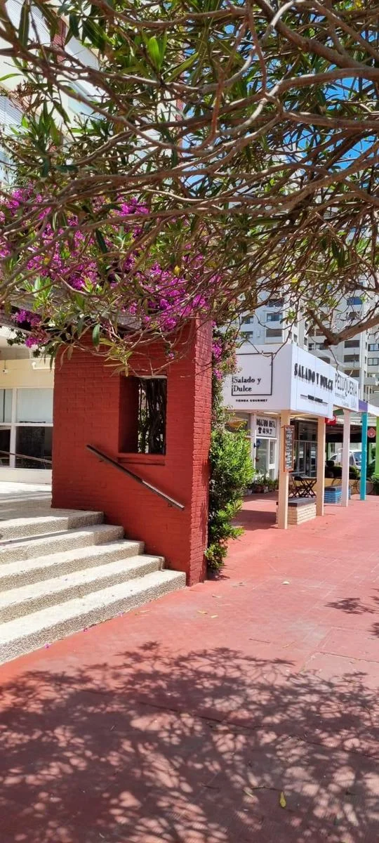 Apartamento en Punta del Este, propiedad 297950 -Imagen 2