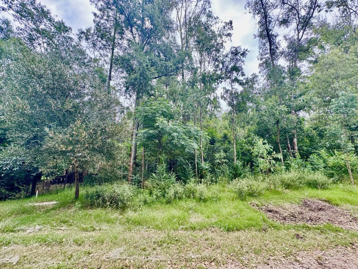 Terreno en Balneario Santa Ana, propiedad 299380 -Imagen 5