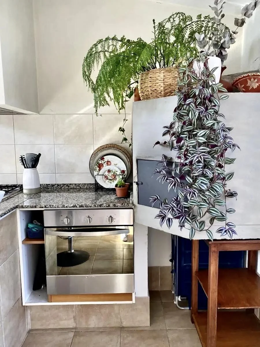 Casa en La Blanqueada, propiedad 300984 -Imagen 4