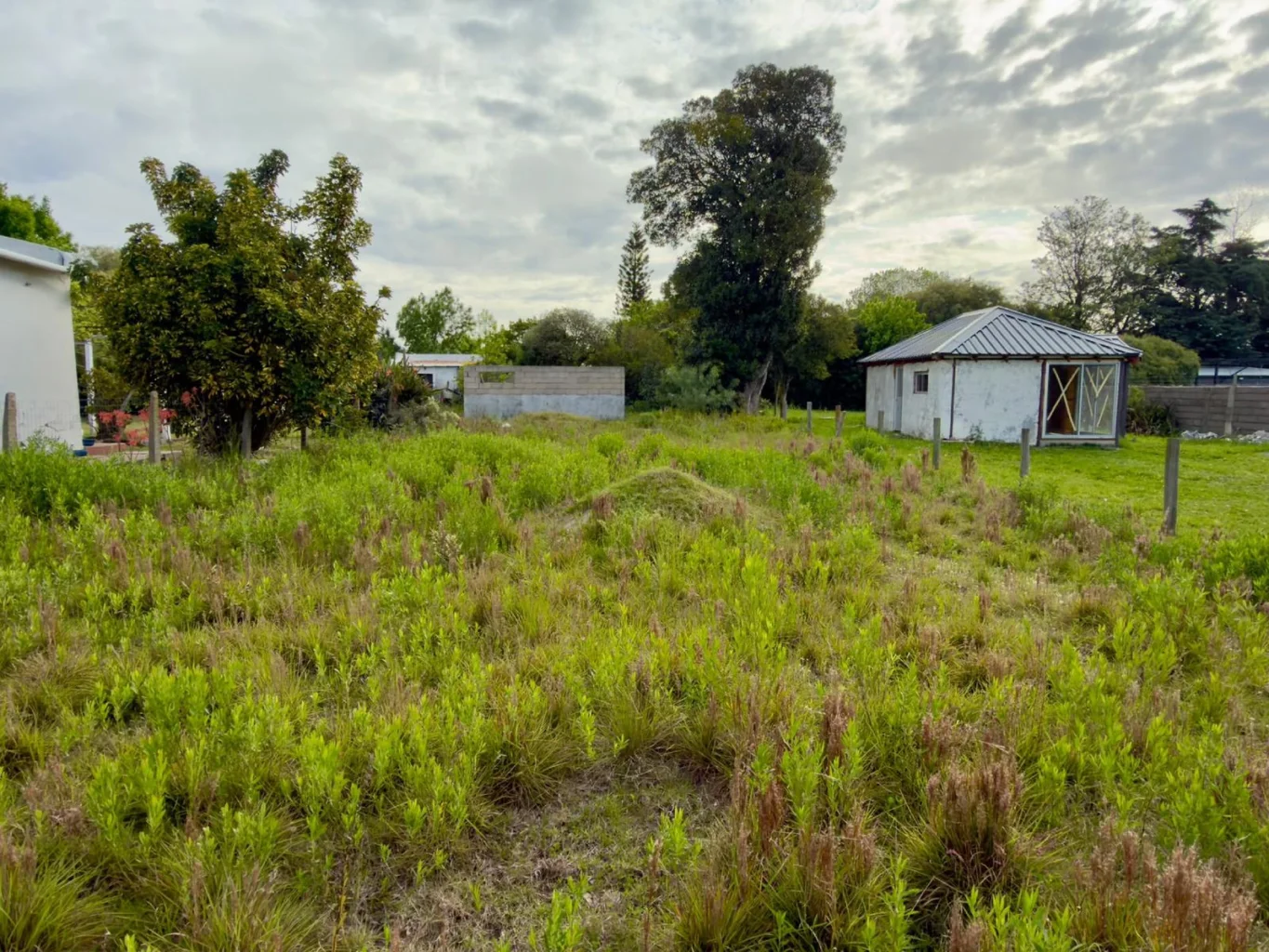 Terreno en Colonia del Sacramento, propiedad 302119 -Imagen 3