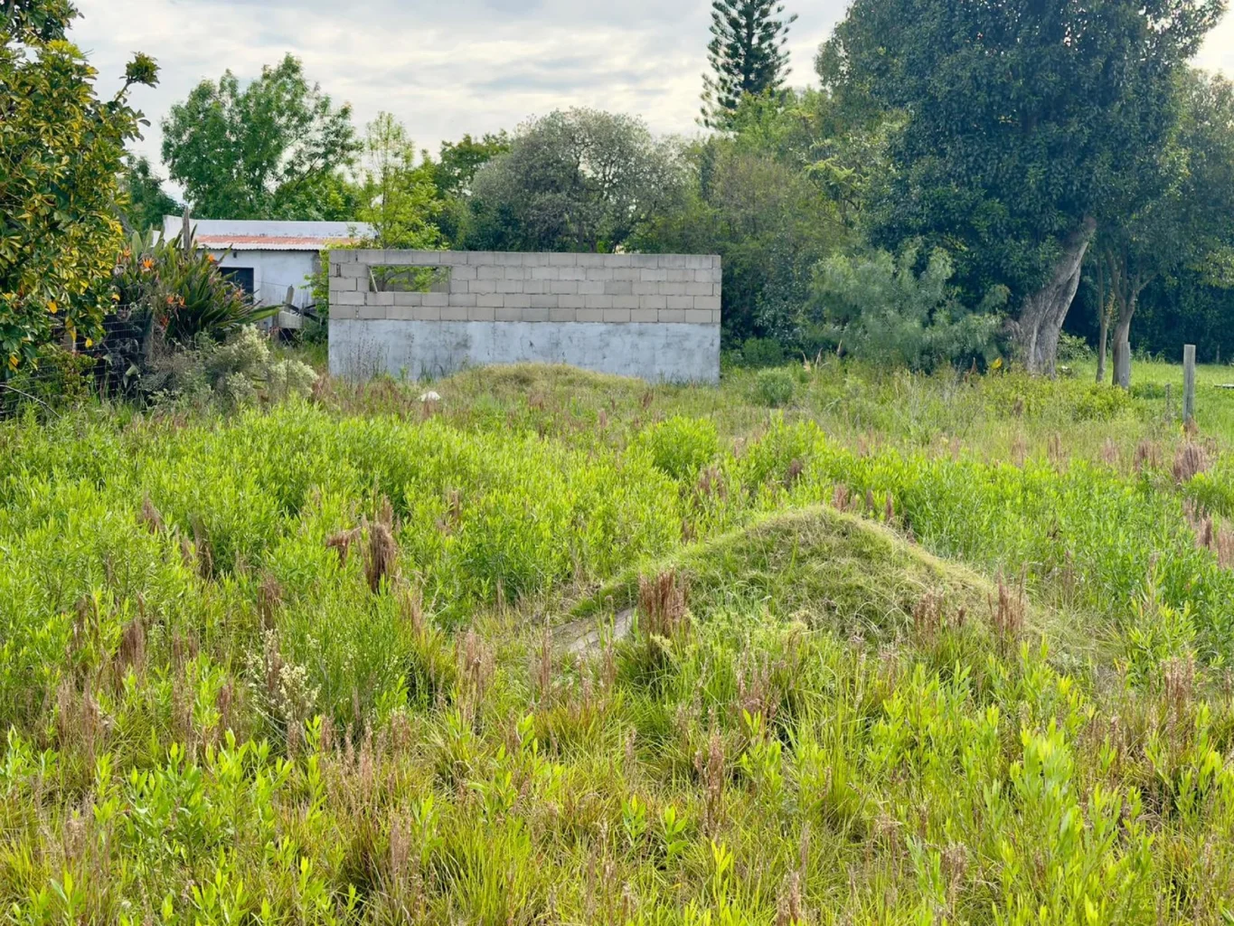 Terreno en Colonia del Sacramento, propiedad 302119 -Imagen 4