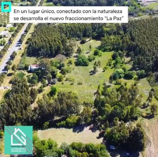 imagen  de la propiedad 141713