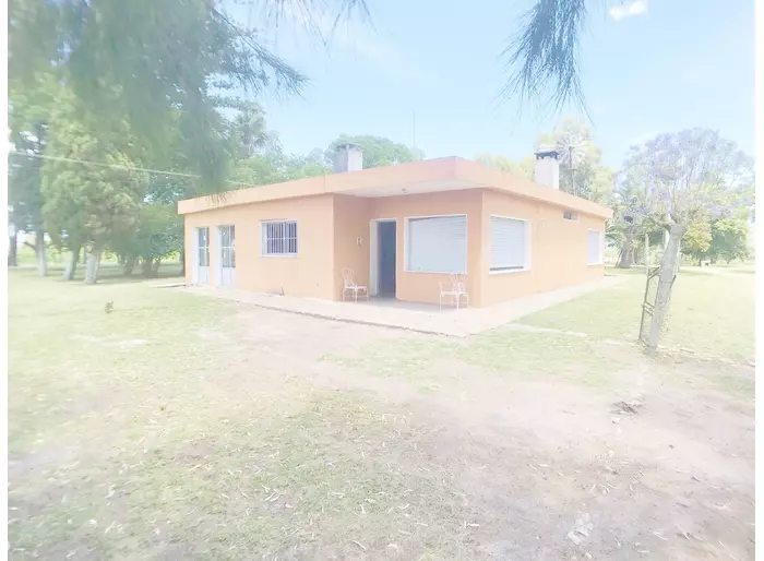 imagen  de la propiedad 262456