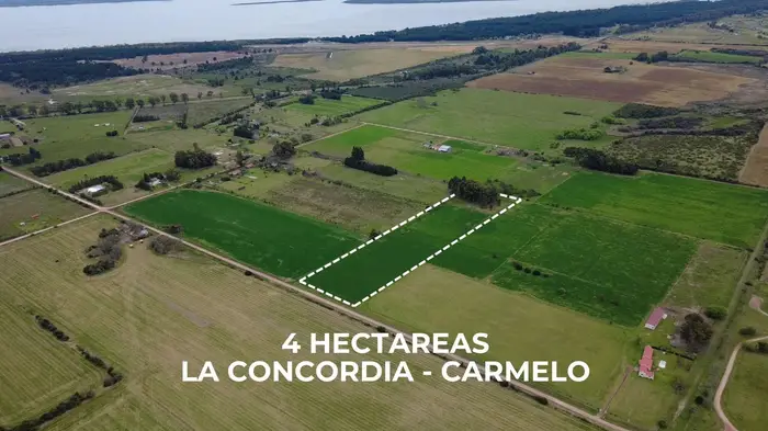imagen  de la propiedad 294245
