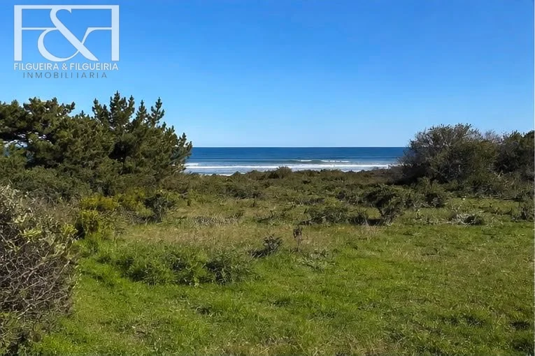 Terreno en Punta del Este, propiedad 289403 -Imagen 3