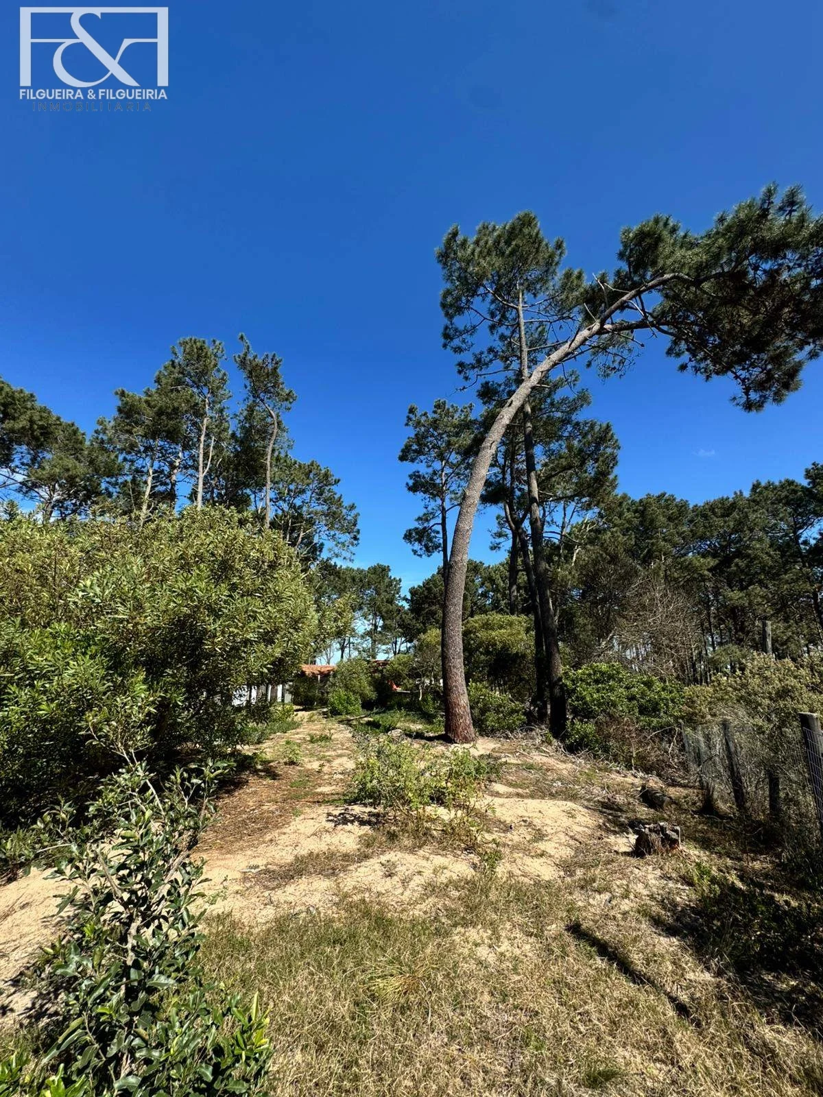 Terreno en Maldonado, propiedad 292362 -Imagen 3