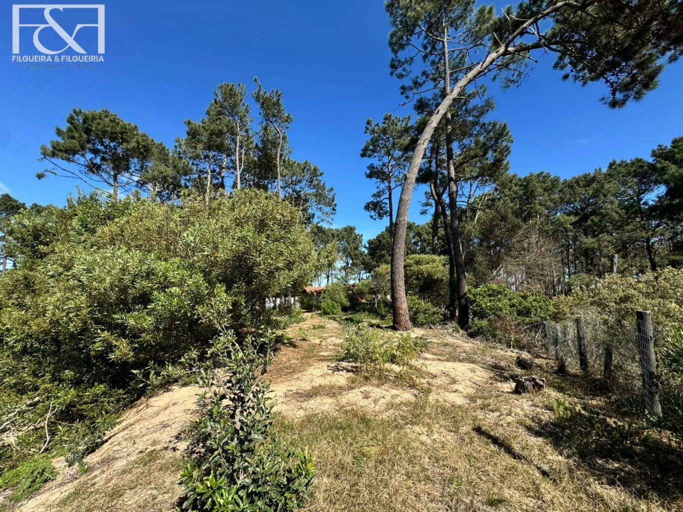 Terreno en Maldonado, propiedad 292362 -Imagen 4