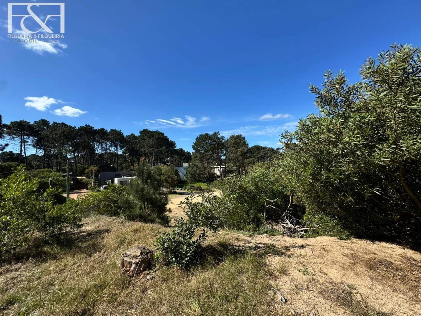 Terreno en Maldonado, propiedad 292362 -Imagen 6
