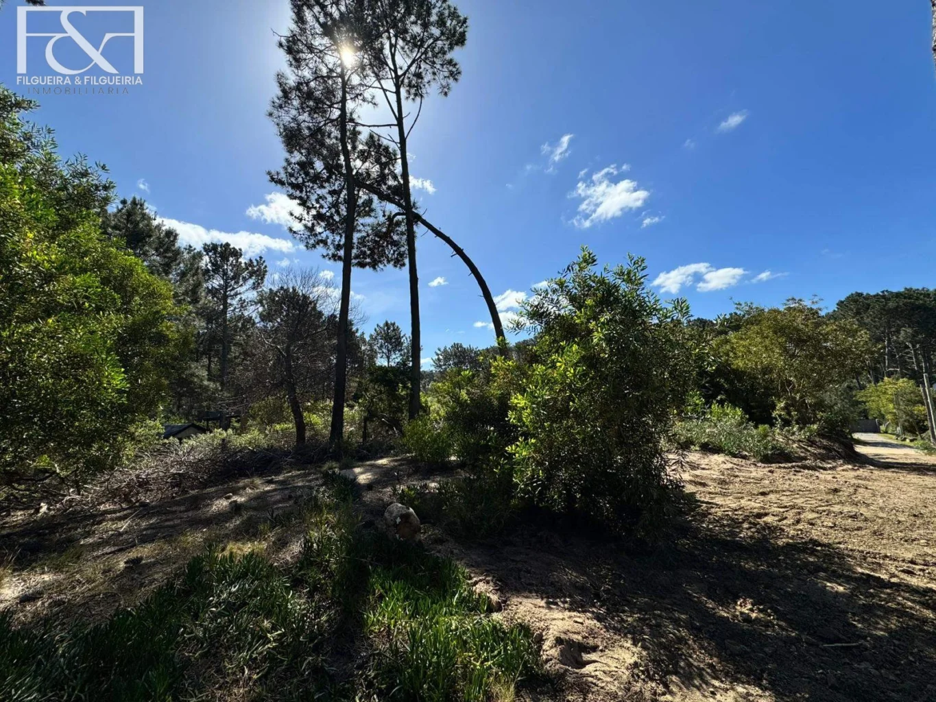 Terreno en Maldonado, propiedad 292362 -Imagen 7