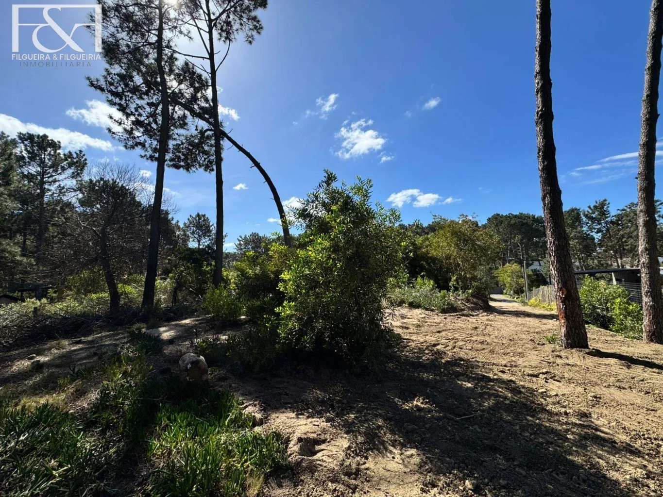 Terreno en Maldonado, propiedad 292362 -Imagen 8