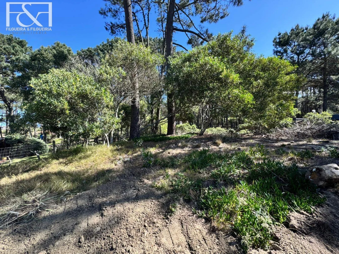 Terreno en Maldonado, propiedad 292362 -Imagen 9