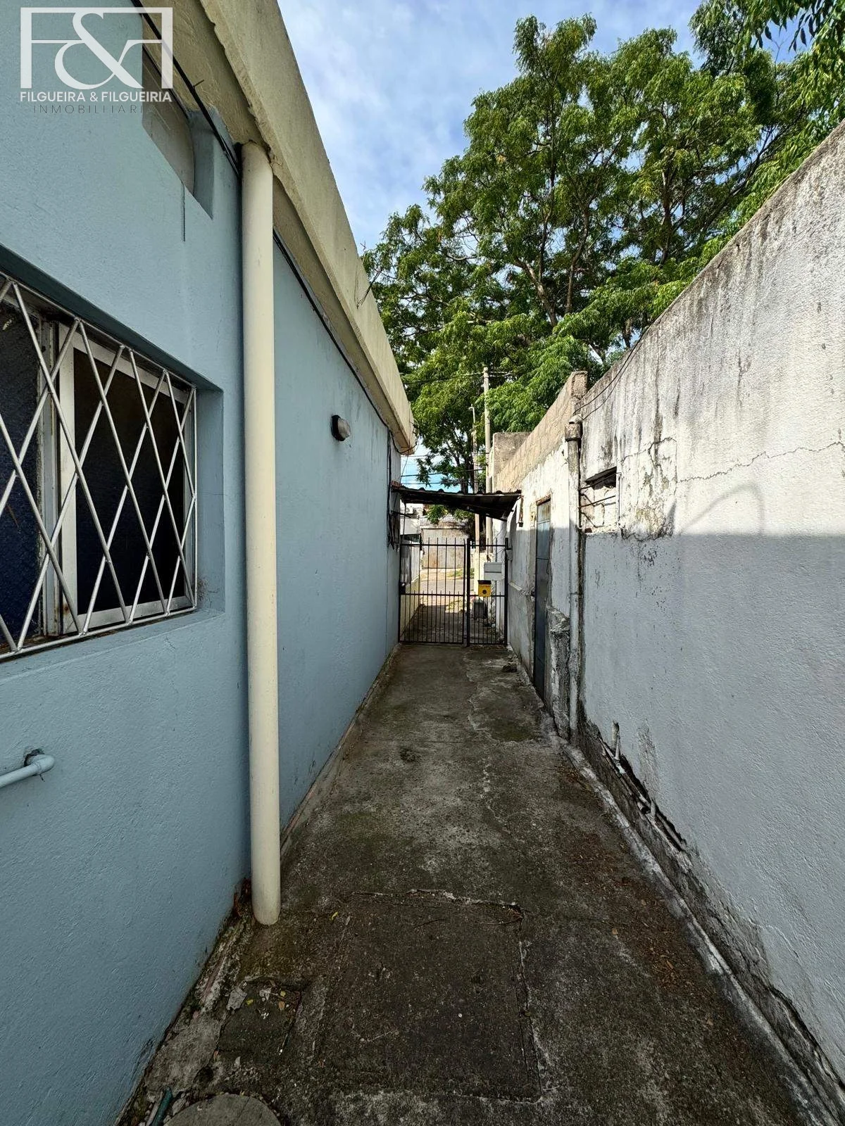 Casa en La Teja, propiedad 294003 -Imagen 17
